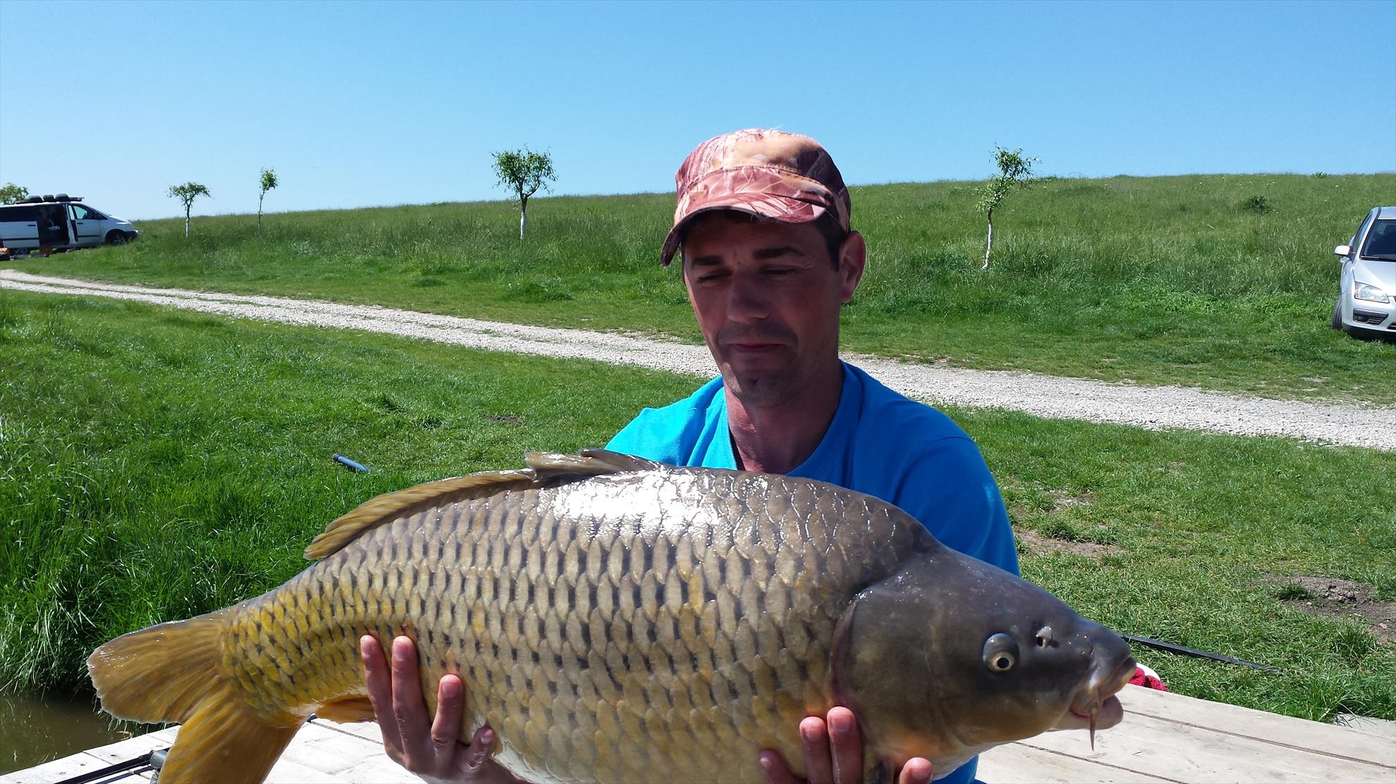 Moara Vlasiei 2 21 - 22 aprilie 2016 - 20160422135508.jpg